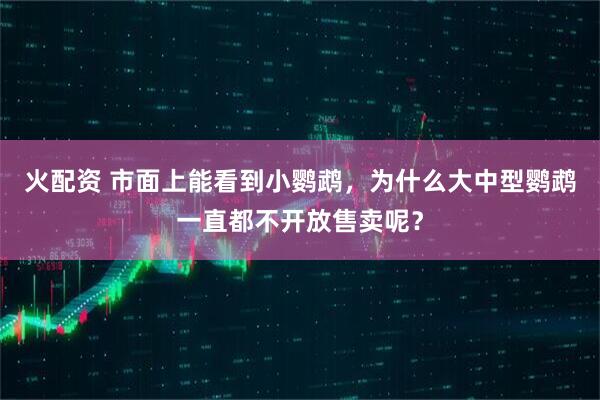火配资 市面上能看到小鹦鹉，为什么大中型鹦鹉一直都不开放售卖呢？