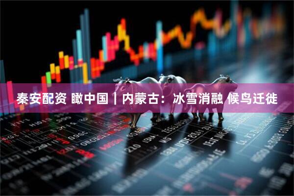 秦安配资 瞰中国｜内蒙古：冰雪消融 候鸟迁徙