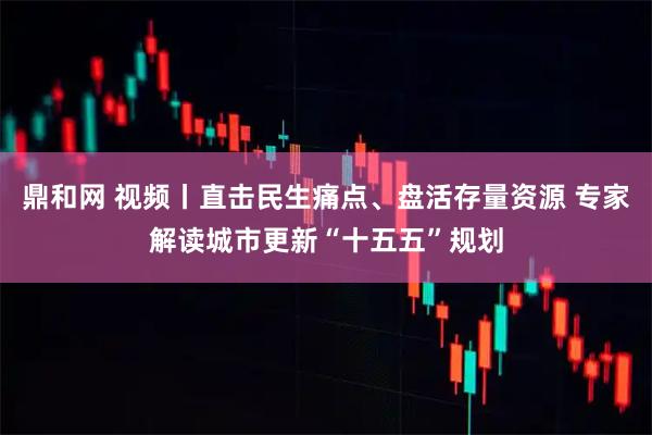 鼎和网 视频丨直击民生痛点、盘活存量资源 专家解读城市更新“十五五”规划
