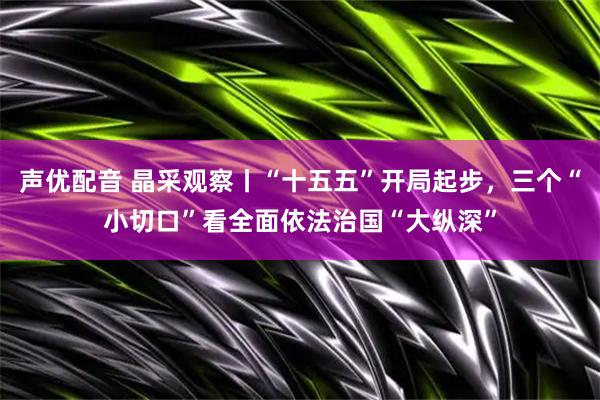 声优配音 晶采观察丨“十五五”开局起步，三个“小切口”看全面依法治国“大纵深”